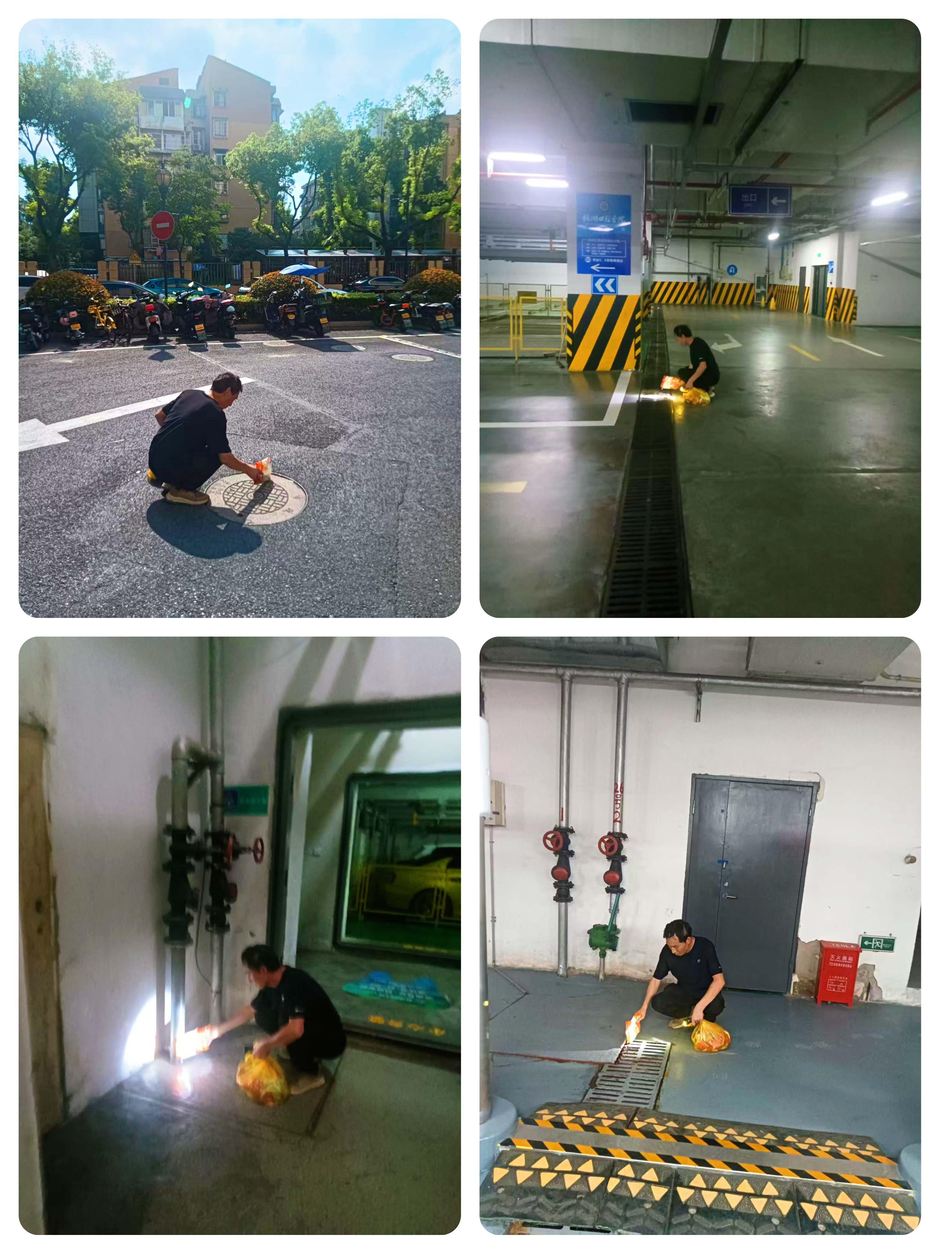 水晶城開展“清積水、除四害”專項行動 筑牢健康防線