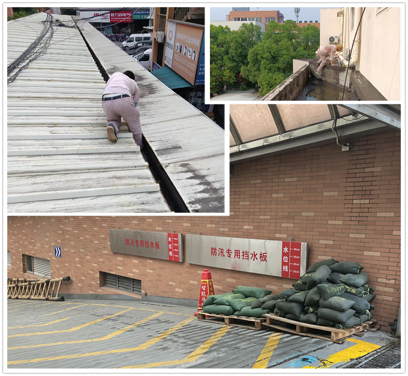 應(yīng)對臺(tái)風(fēng)“梅花” 建華市場在行動(dòng)