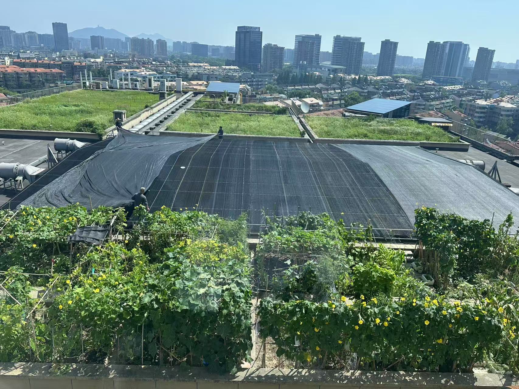 水晶城巧施”遮陽(yáng)術(shù)“，為節(jié)能降耗注入清涼動(dòng)力