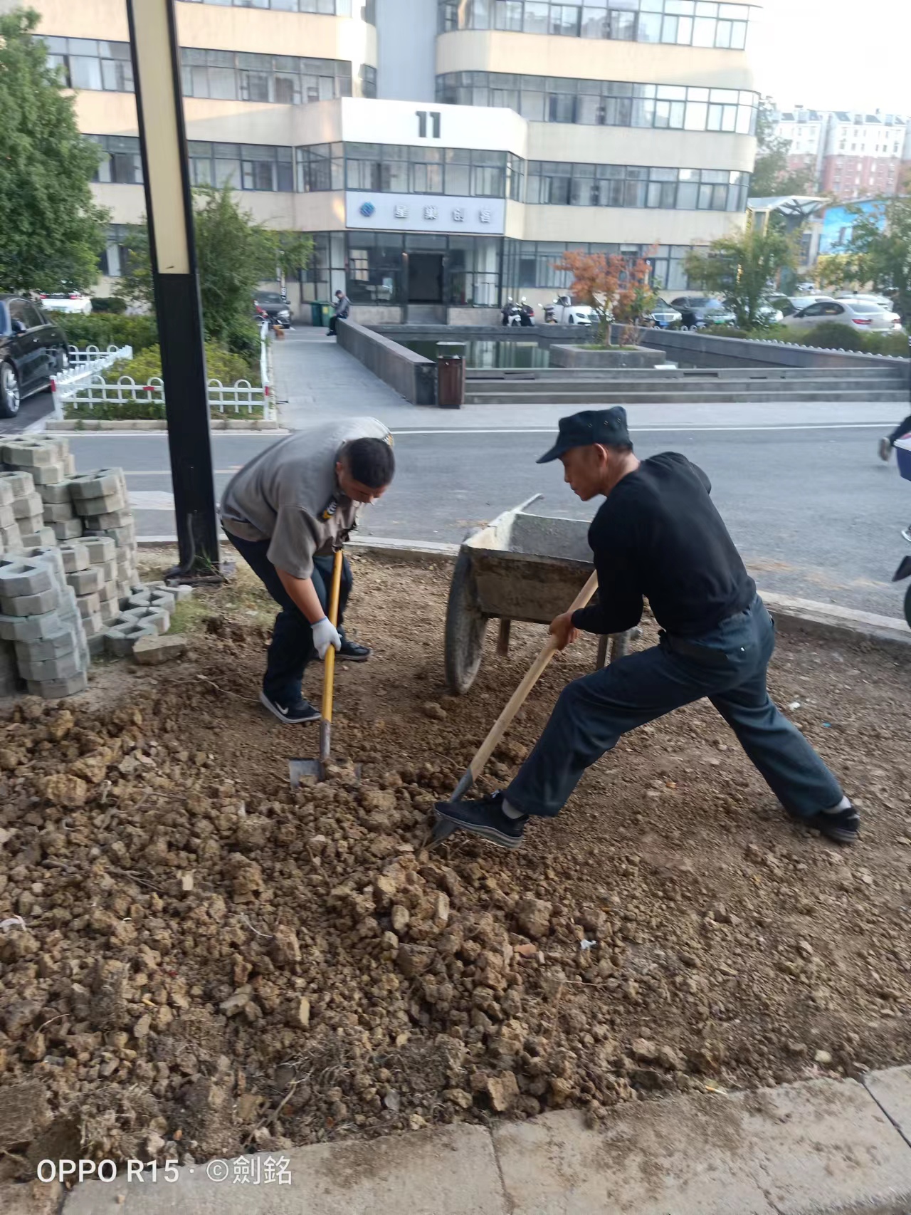 廬陽(yáng)建華文創(chuàng)園開(kāi)展環(huán)境優(yōu)化行動(dòng)