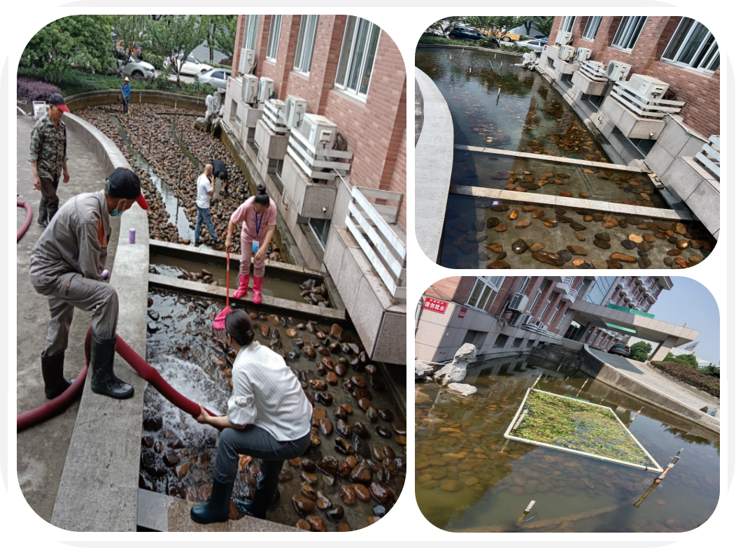 煥然一新，園區(qū)景觀池迎來“大洗之日”