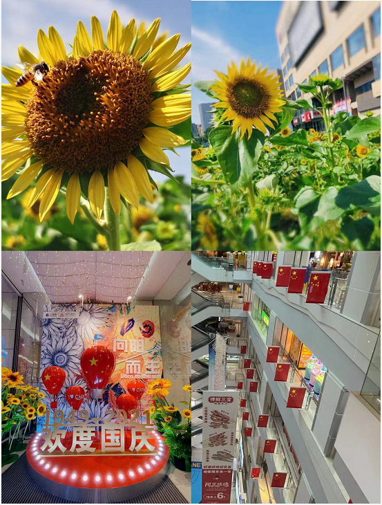 盛世華誕，水晶城喜迎國慶