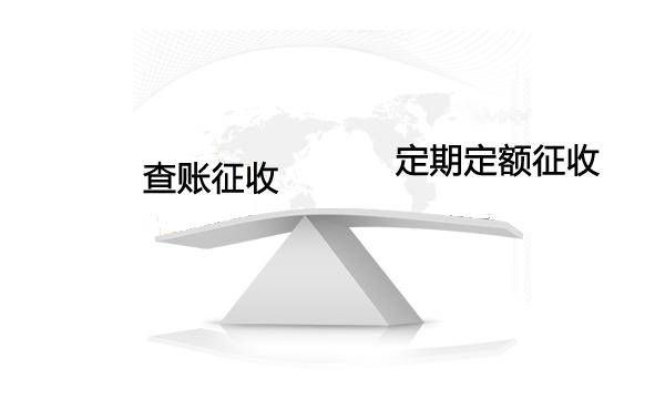 “他”來啦！“他”來啦！“查賬征收”閃耀登場