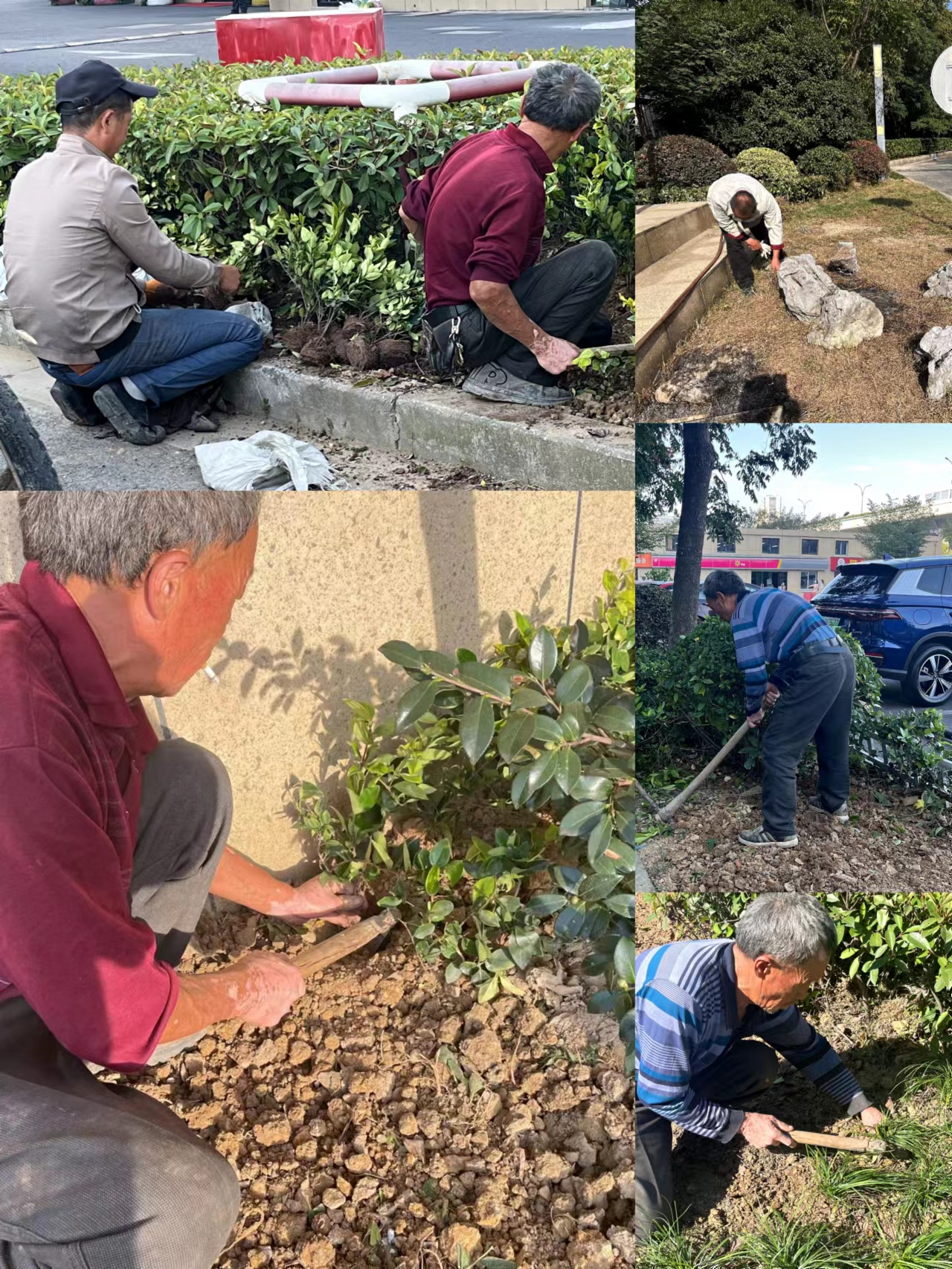 園區(qū)環(huán)境雙升級(jí)，煥然新風(fēng)提水準(zhǔn)