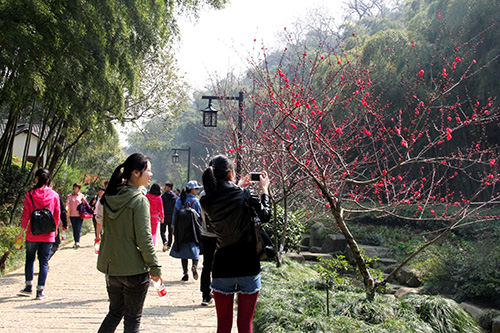 20150329登山活動 (6).jpg 20150329登山活動 (6).jpg