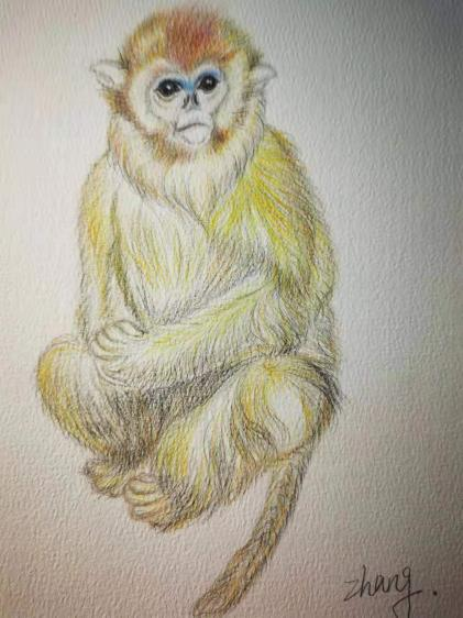 圖片1.png 圖片1.png